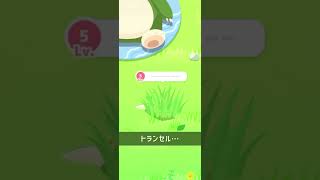 ポケモンSleep 今日のリサーチ / 2024年12月11日