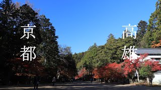 京都 紅葉穴場 高雄　神護寺～西明寺