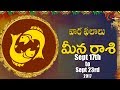 Rasi Phalalu |  Meena Rasi | Sept 17th to Sept 23rd 2017 | Weekly Horoscope 2017 | #Predictions