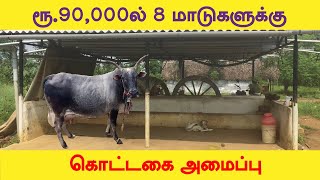 மாட்டு கொட்டகை கம்மி விலையில் | மாரியம்மா அக்கா வின் மாட்டு கொட்டகை | #Tirunelveli | #Nellai |