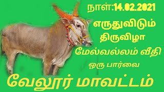 மேல் வல்லம் எருதுவிடும் திருவிழா ஒரு பார்வை/ வேலூர் மாவட்டம்/ ks venkat vlogger/