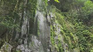 宮崎県高千穂峡（2024年６月２８日）