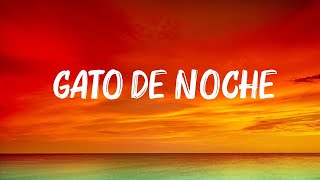 Ñengo Flow, Bad Bunny - Gato de Noche (Letra/Lyrics) 🍀 Hot Lyrics 2024