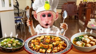 Monkey Bibi and Dad Cook Delicious Bean Soup Together | Heartwarming Kitchen Moments