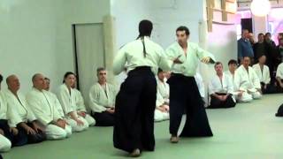 HD - Aikido Shihan Donovan Waite Sensei - 2010 USA, New York - Aihanmi Katatetori Iriminage 1