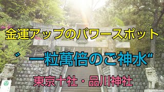 ✨見るだけで✨金運アップ💰゛一粒萬倍のご神水“ 東京十社・品川神社⛩️