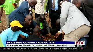 Bunyoro kingdom sets up coffee demonstration garden