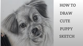 How to draw cute puppy sketch|pencil drawing| easy to draw |Art by janhavi