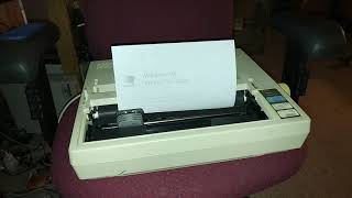 Epson LX-800 Windows 98 Test Page