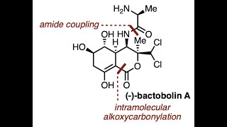 Total Synthesis of Bactobolin A, an Antitumor and Antibacterial Natural Product