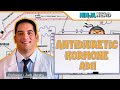 Endocrinology | Antidiuretic Hormone (ADH) Endocrinology | Antidiuretic Hormone (ADH)