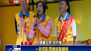 2016總統－幫參選人造勢  徐欣瑩:「民親」合作非合併－民視新聞