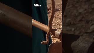Meet the snake charmers of Morocco | SLICE