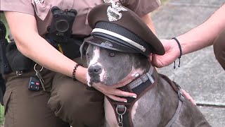 Miami-Dade police officer adopts neglected puppy