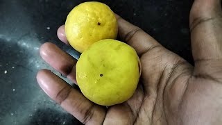 சுவையான எலுமிச்சை 🍋 சாதம் இப்படி செய்து பாருங்கள் | How to Make lemon Rice in Tamil