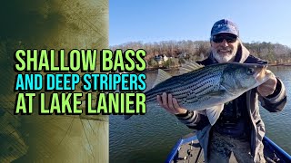 Shallow Bass And Deep Stripers At Lake Lanier