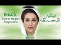 8171 ehsaas program 2024 benazir kafalat 10500 check karne ka tarika 13500 dynamic survey