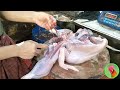 amazing chicken cutting live chicken cutting skills in market bd chicken