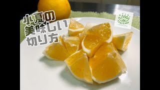 皮をナイフで剥いて食べる！　小夏（こなつ）の美味しい切り方｜たべごろうの宅配野菜