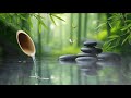 Relaxing Music for Sleep, Healing, Concentration, Calming Music, Meditation Music, Nature Sounds