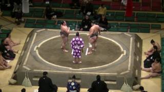 大相撲.2017.1.9-18/諫誠(kansei)-荒篤山(kotokuzan) /day 2 #sumo