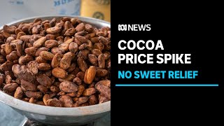 Rising costs of cocoa putting pressure on Australian businesses | ABC News
