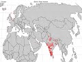 migration of blyth’s reed warbler to the indian sub continent.