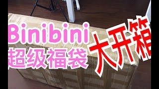 【基因模玩】是欧是非是车祸？！Bilibili十周年之际开Binibini超级大福袋！