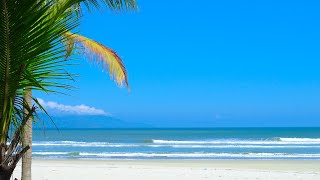 Calm Your Mind with Gentle Waves of Ocean Sounds on Tropical Beach for Relax, Sleep, ASMR