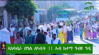 ኣከባብራ በዓል ለካቲት 11 ኣብ ከተማ ዓብዪ ዓዲ