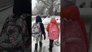 April Snowfall in Calgary ||  Springs Snowfall