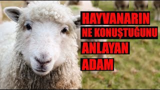 Hayvanların Ne Konuştuğunu Anlayan Adam I Kıssadan Hisse I