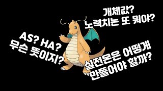 포켓몬 실전배틀을 하고 싶으시다고요...? [포켓몬 실전배틀 뉴비 입문 영상]