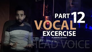 Vocal tutorial part 12/ የድምፅ አወጣጥ/ Amharic vocal tutorial