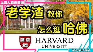 【上海人家在美国】老学渣教你怎么逛“哈佛大学”｜美国移民｜美国创业｜海外华人的日常生活｜日常更新#20230830 #2023232