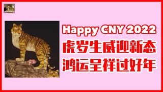 Happy Chinese New Year 2022 祝福大家虎岁生威迎新态，鸿运呈祥过好年