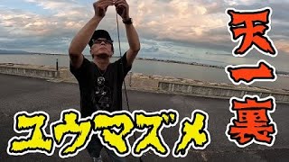 【バス釣り】天一裏でユウマズメ！いつもの釣行ですわ【ゆう作兄さんのチョイ釣りMAX】