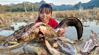 Full video: 15 days of Xuân catching giant water monsters on the river to the market to sell