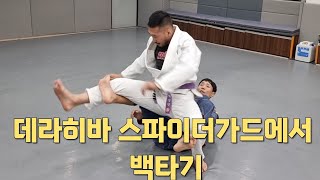 데라히바 스파이더가드에서 백포지션 잡기