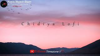 Chidiya Lofi - Lyrical Video || Ft. Vilen || Dev Bhawsar || Indian Lofi songs