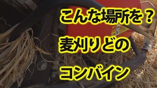 【会社員実家農業手伝う】2020麦刈りヤンマーAE447コンバインで珍しい刈り取り部分を撮影してみた。