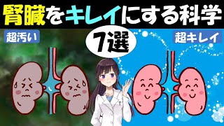 【テヘラン医科大学】腎臓をキレイにする科学的手法7選　~疲労回復・アンチエイジング・デトックス機能が上がる~