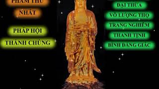 Tụng Kinh Vô Lượng Thọ  Trọn Bộ  Thích Trí Thoát  Có Chữ