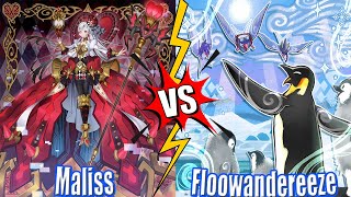 Maliss vs Floowandereeze-TenpaiBystial-Kashtira-White Forest-Crystron - Newdeck DB Yu-Gi-Oh! 2025