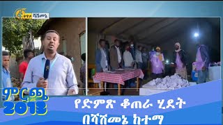 የድምጽ ቆጠራ ሂደት በሻሸመኔ ከተማ