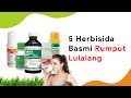 5 Racun Buat Rumput Lulangan, Selektif + Sistemik Lebih Tahan Lama