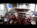 automatic chocolate pouching machine 全自动给袋式包装机；全自动称重包装机；全自动固体包装机；