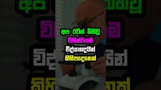 අප රටින් බිහිවූ විශිෂ්ට විද්‍යාඥයින් කිහිපදෙනෙක් 😮❤️🇱🇰 #shorts #srilanka #scientist