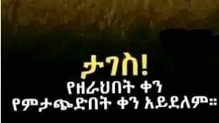 Kamu Media is live! ታገሰ!የዘራህበት ቀን የምታጭድበት ቀን  አይደለም።