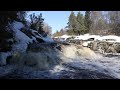 nautelankoski 04.03.2022